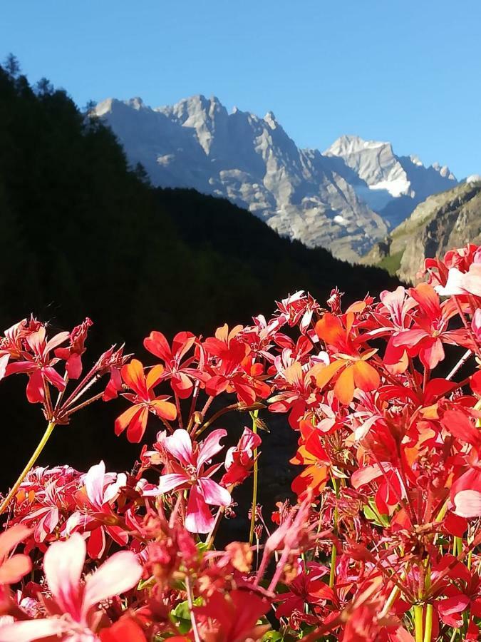Petit Maison - Valtournenche Kültér fotó